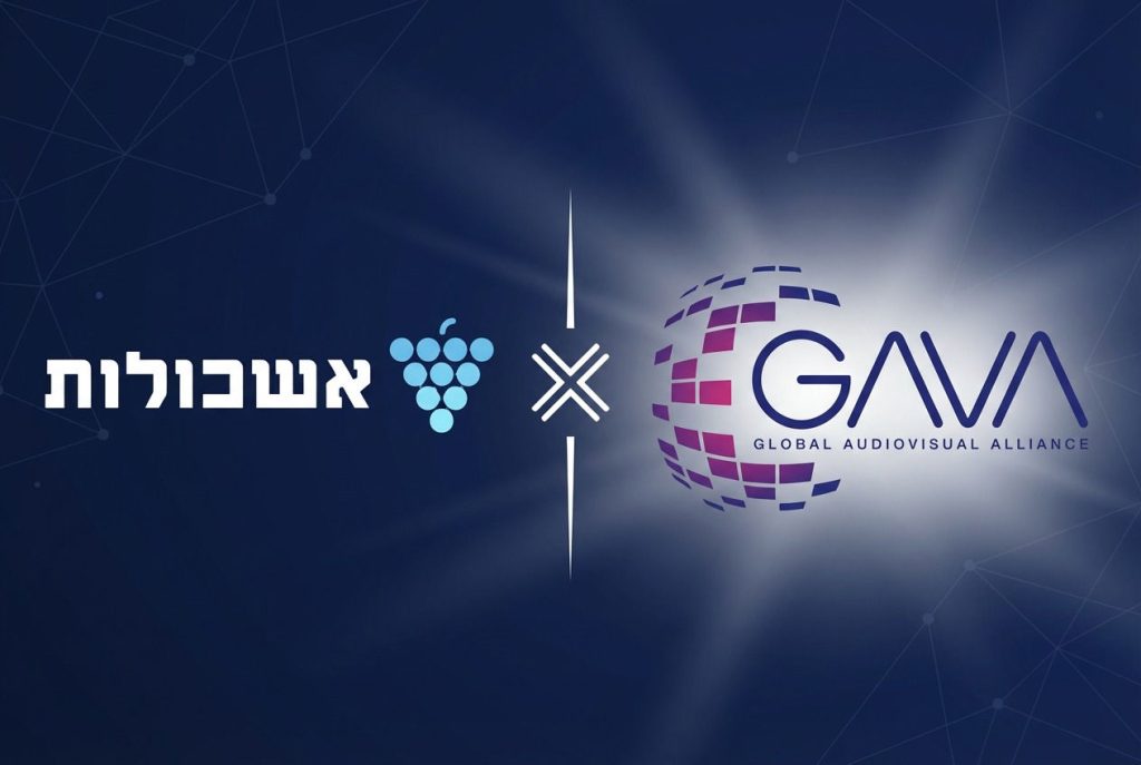 GAVA x אשכולות